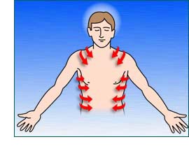 Outline of man showing nerve channels flow from back to sides of body