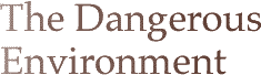 The Dangerous Environment